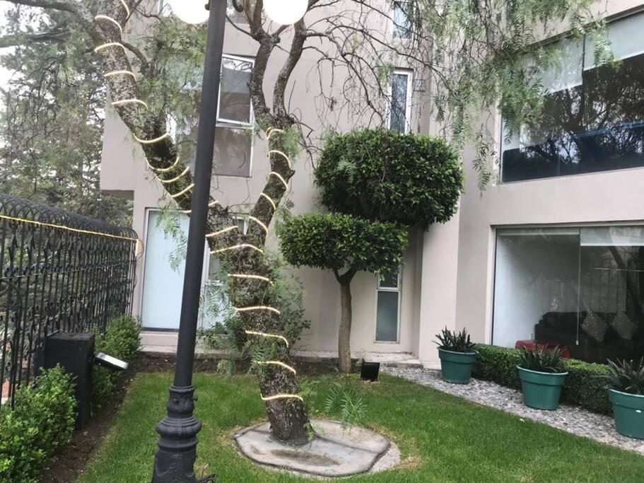 Hermoso Departamento En Bosques De Las Lomas Dos Habitaciones Мехіко Екстер'єр фото